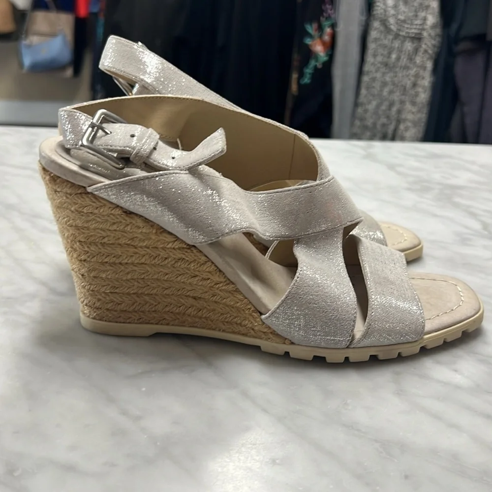 Donald J Pliner Brevos Silver Wedge Espadrilles Size 8